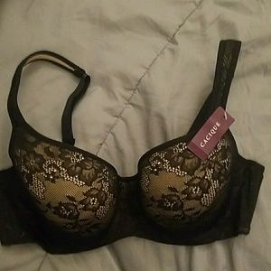 Cacique Push-Up Bra black lace 36D New NWT
